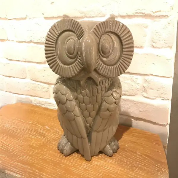 OWL 貓頭鷹 飾品