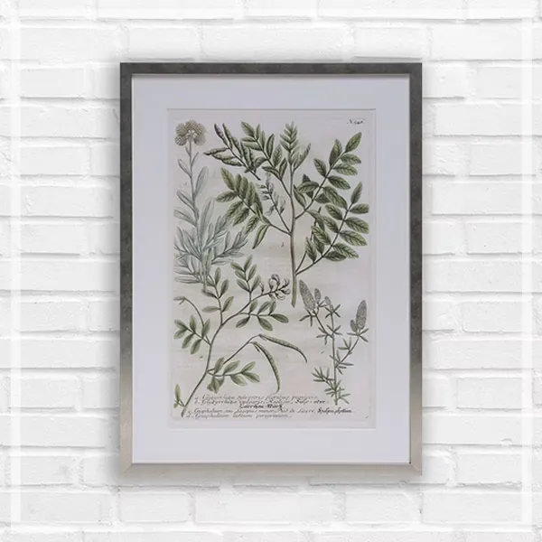 FORTUNE  有框畫 四季開花的植物花園２