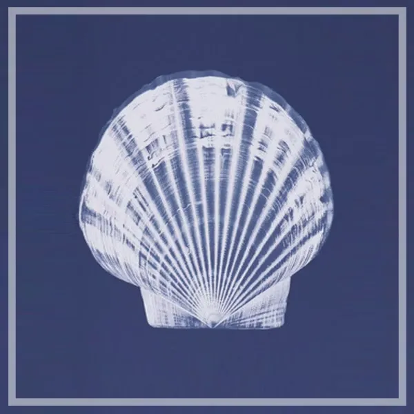 FORTUNE  有框畫 藍色海洋貝殼