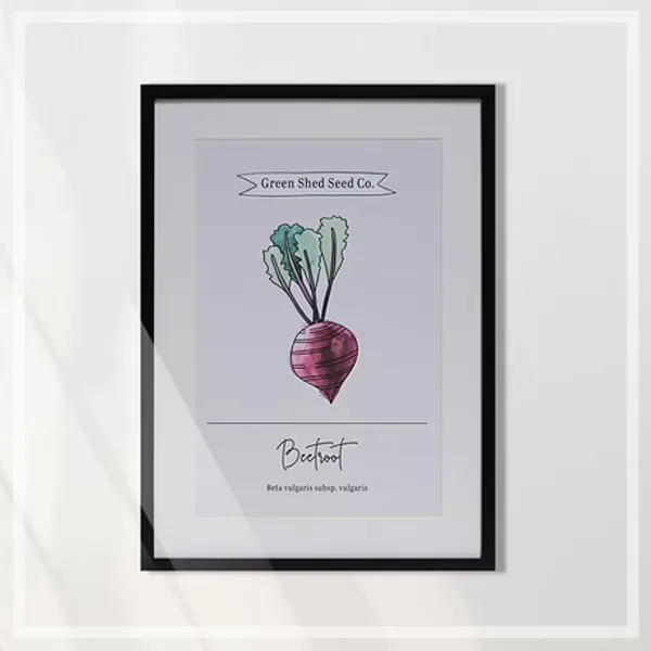 FORTUNE  有框畫  告白的甜菜beetroot