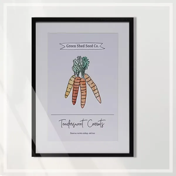 FORTUNE  有框畫  香甜的紅蘿蔔tendersweet carrot