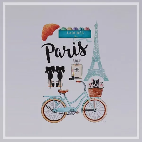 FORTUNE  有框畫 巴黎和自行車