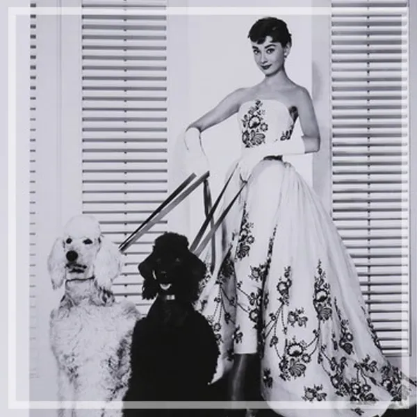 FL-FLAS_A105 FORTUNE 有框畫黑白畫飾 《薩布麗娜》奧黛麗赫本與貴賓犬