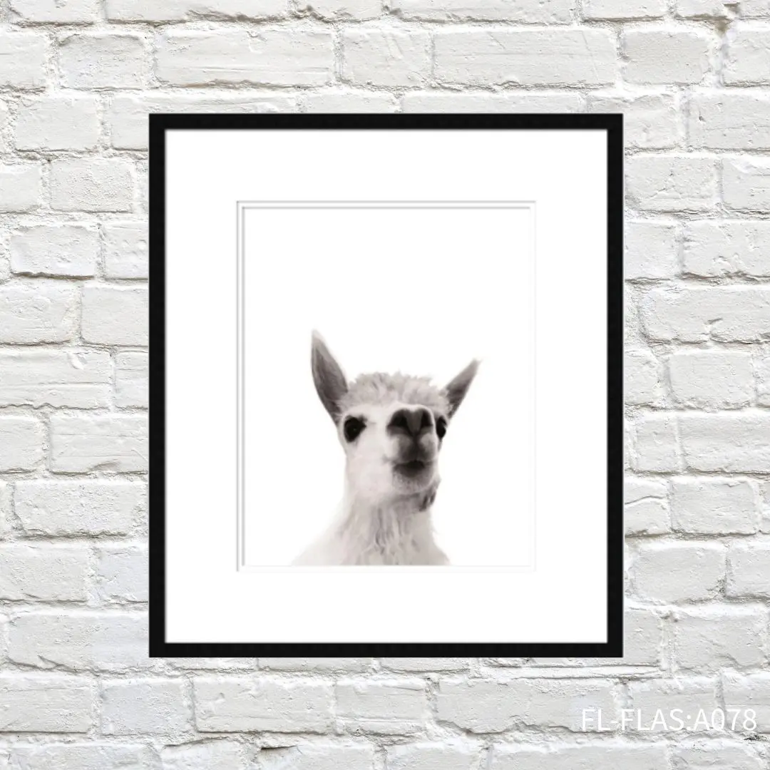 FORTUNE  有框畫 羊駝