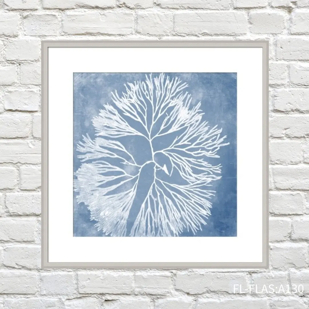 FORTUNE  有框畫 海藻拓印